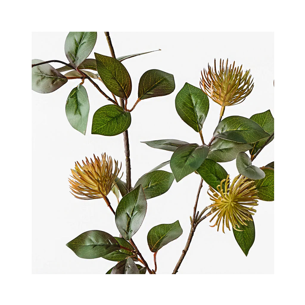 Protea Leucospermum Spray - Rust