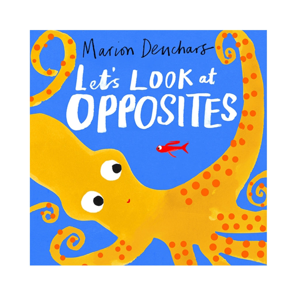 Let's Look At Opposites
