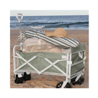 Beach Cart Seagrass