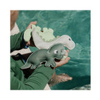 Dive Buddies Dino Multi Set of 3