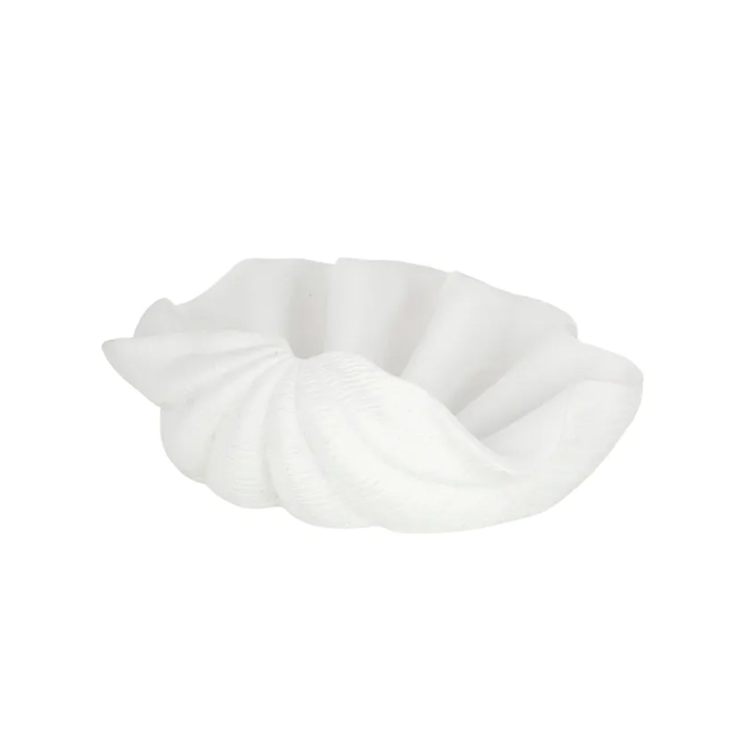 Bowl Resin Clam Shell Giant
