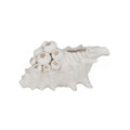 Sculpture Shell Ceramic - Barwon 24x17cm