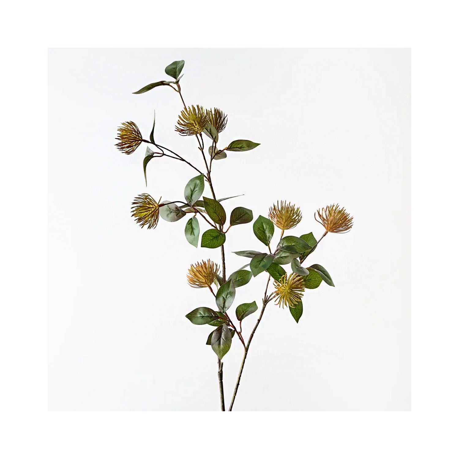 Protea Leucospermum Spray - Rust
