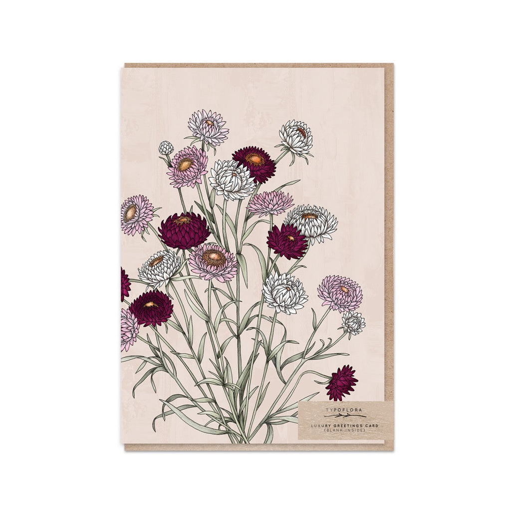 Card Strawflowers Portrait
