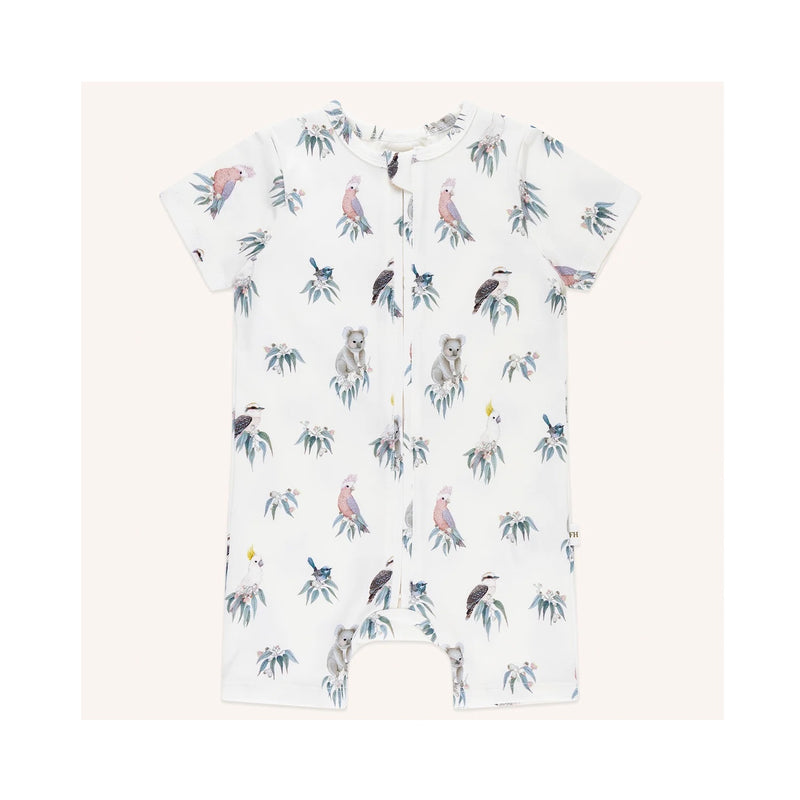 Baby Shorty Coverall - Bush Melody