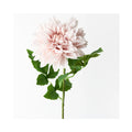 Dahlia - Soft Pink