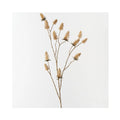 Thistle Spray