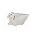 Sculpture Shell Ceramic - Barwon 16x10cm