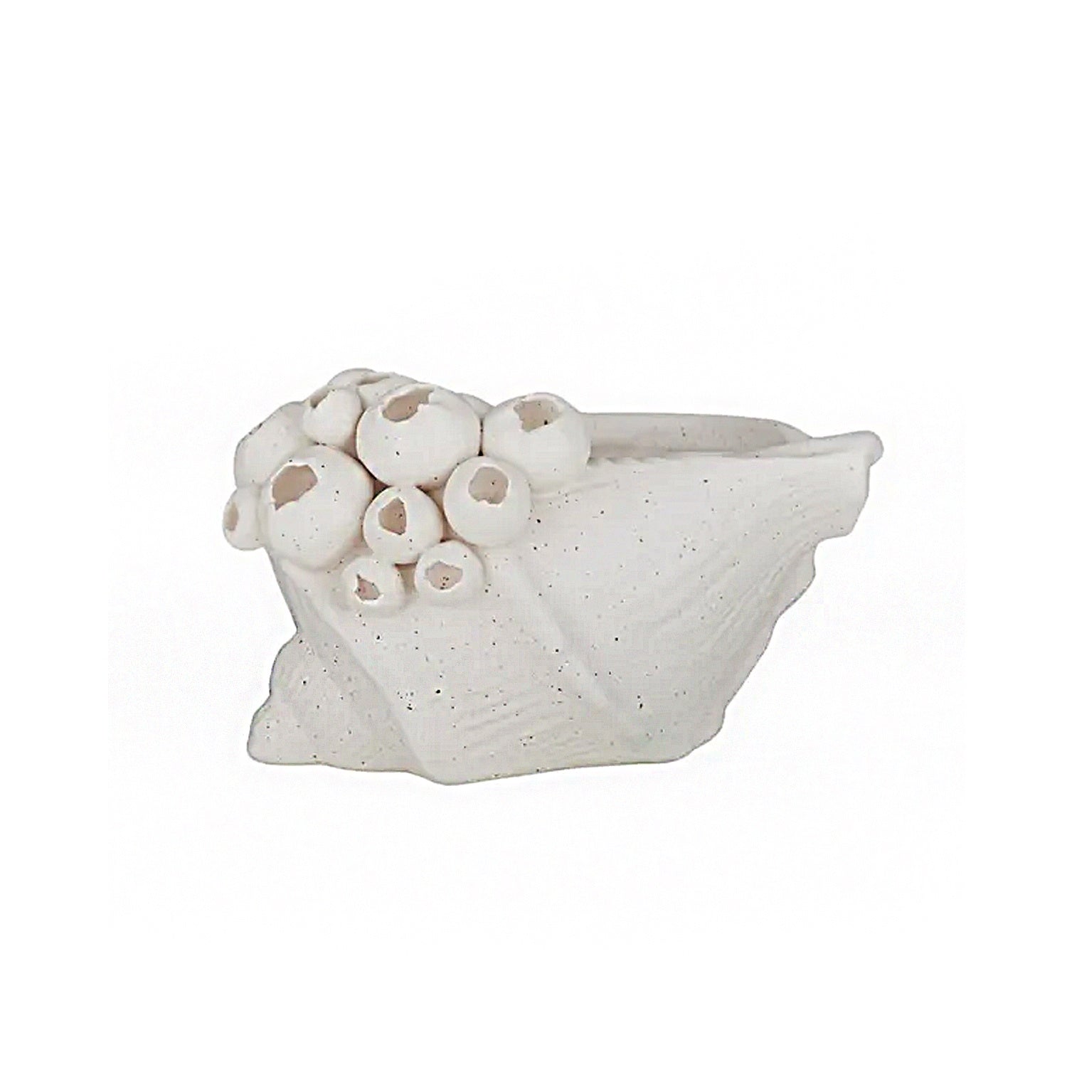 Sculpture Shell Ceramic - Barwon 16x10cm