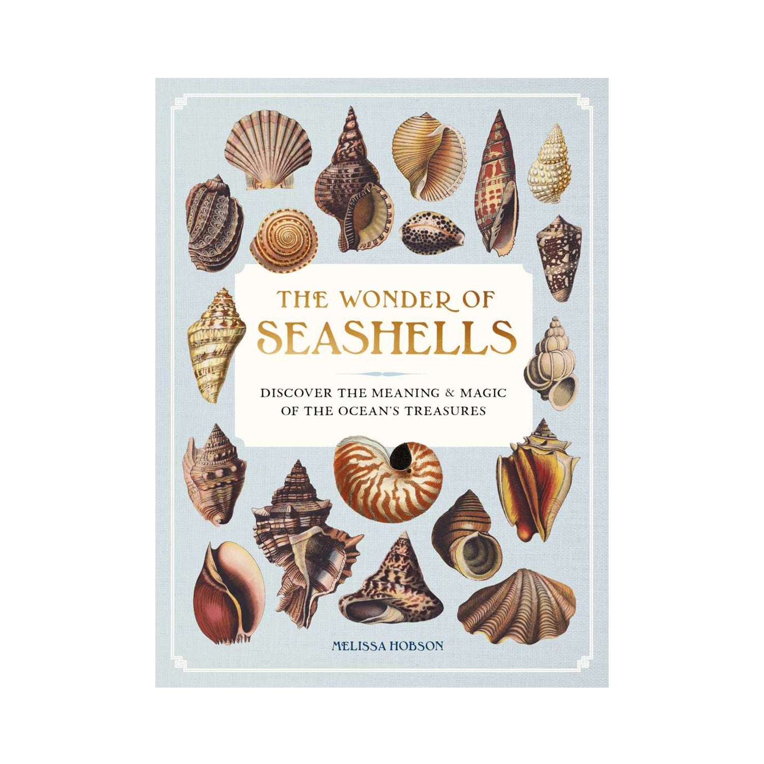 The Wonder Of Seashells