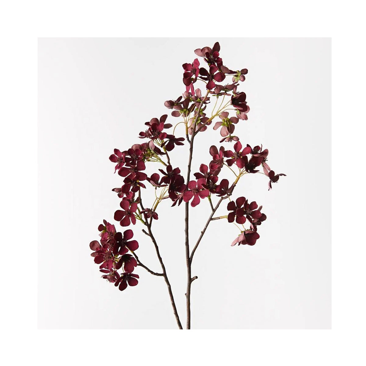 Begonia Spray - Burgundy