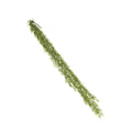 Faux Hanging Plant Bush Angel 165cm