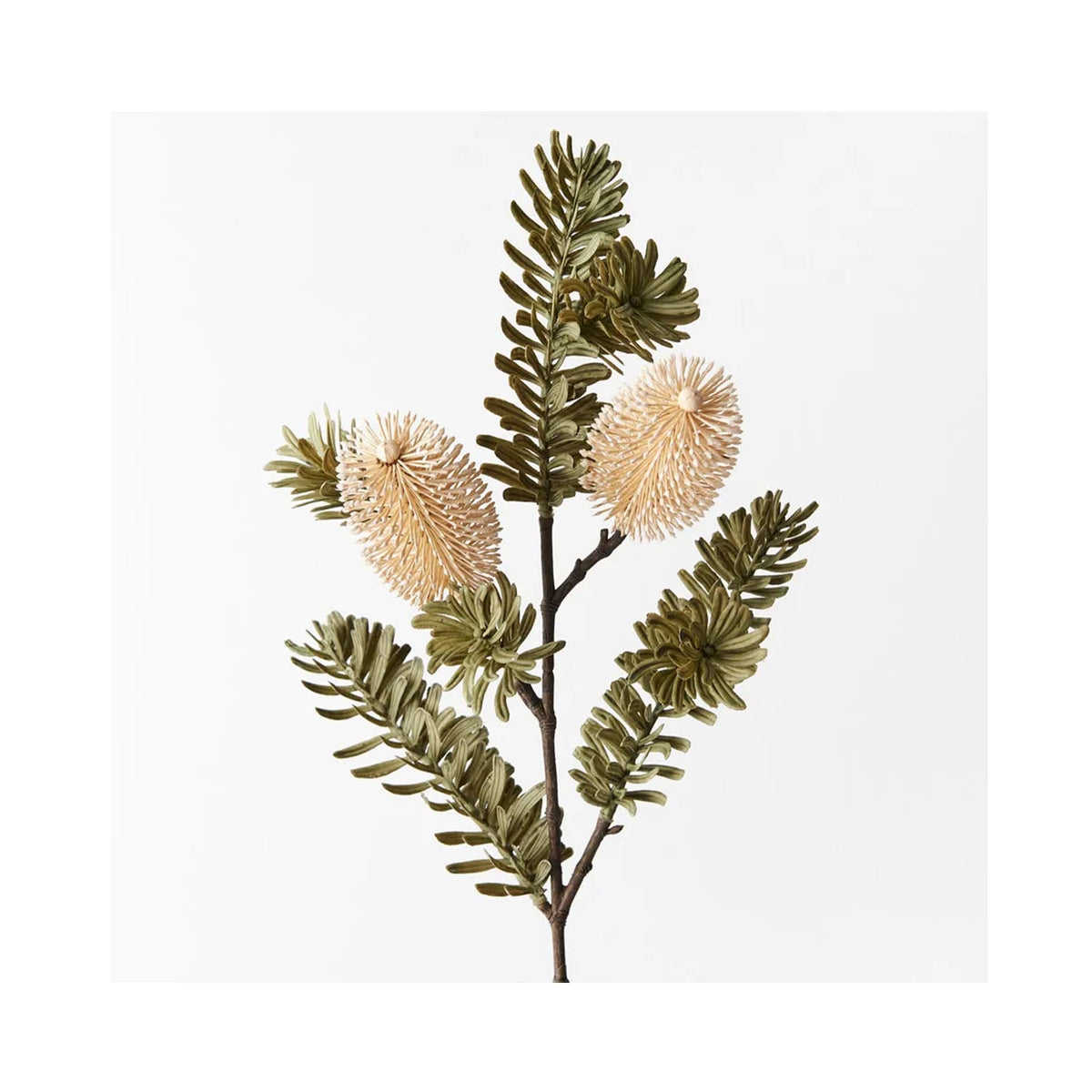 Banksia Spray - Cream