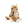 Ginger The Kitten
