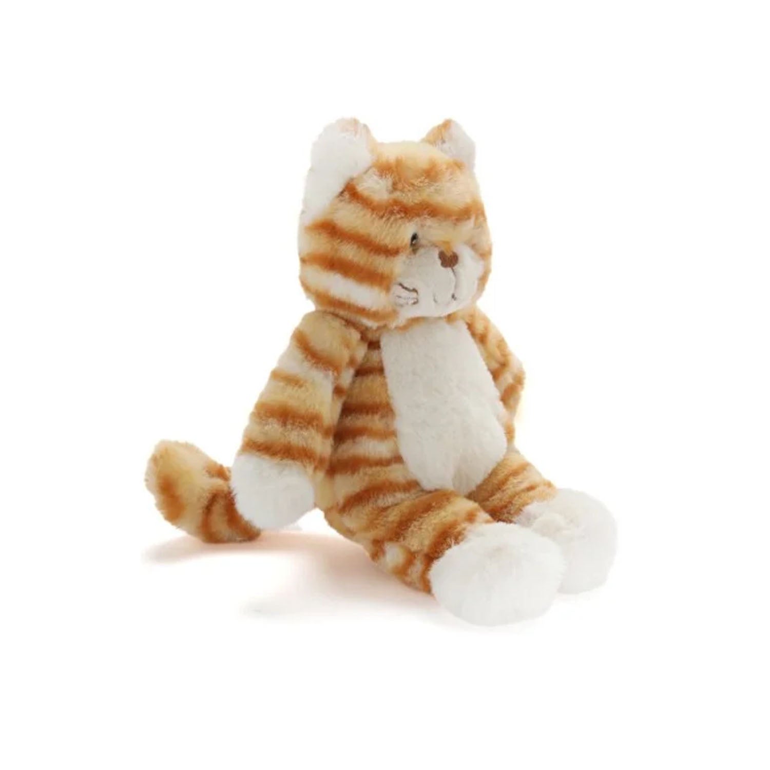 Ginger The Kitten