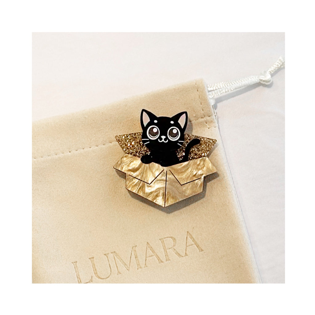 Brooch Acrylic - Cat In The Box