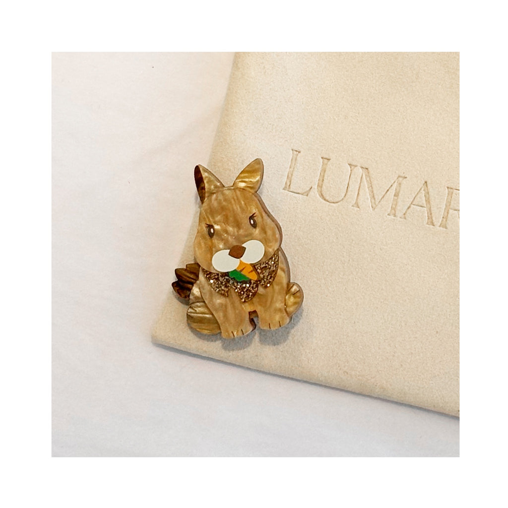 Brooch Acrylic - Rabbit
