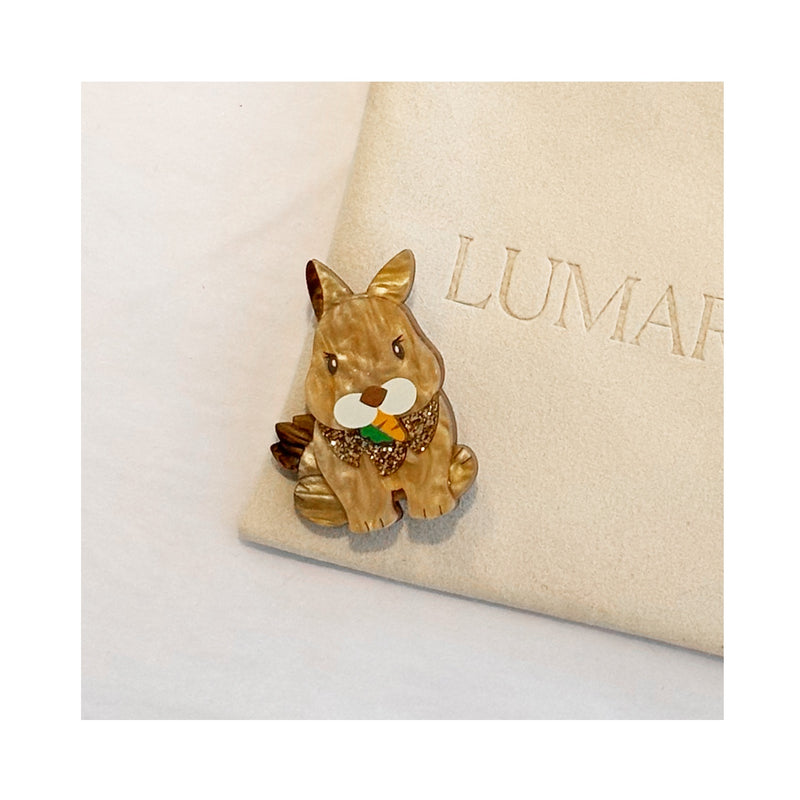 Brooch Acrylic - Rabbit