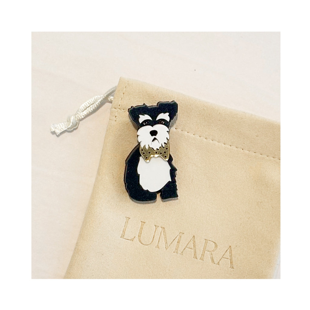 Brooch Acrylic - Dog Albert