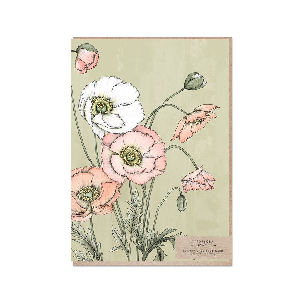 Card Poppies In Sage