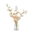 Faux Plant - Dancing Orchid Specimen 36cm Cr-BOM