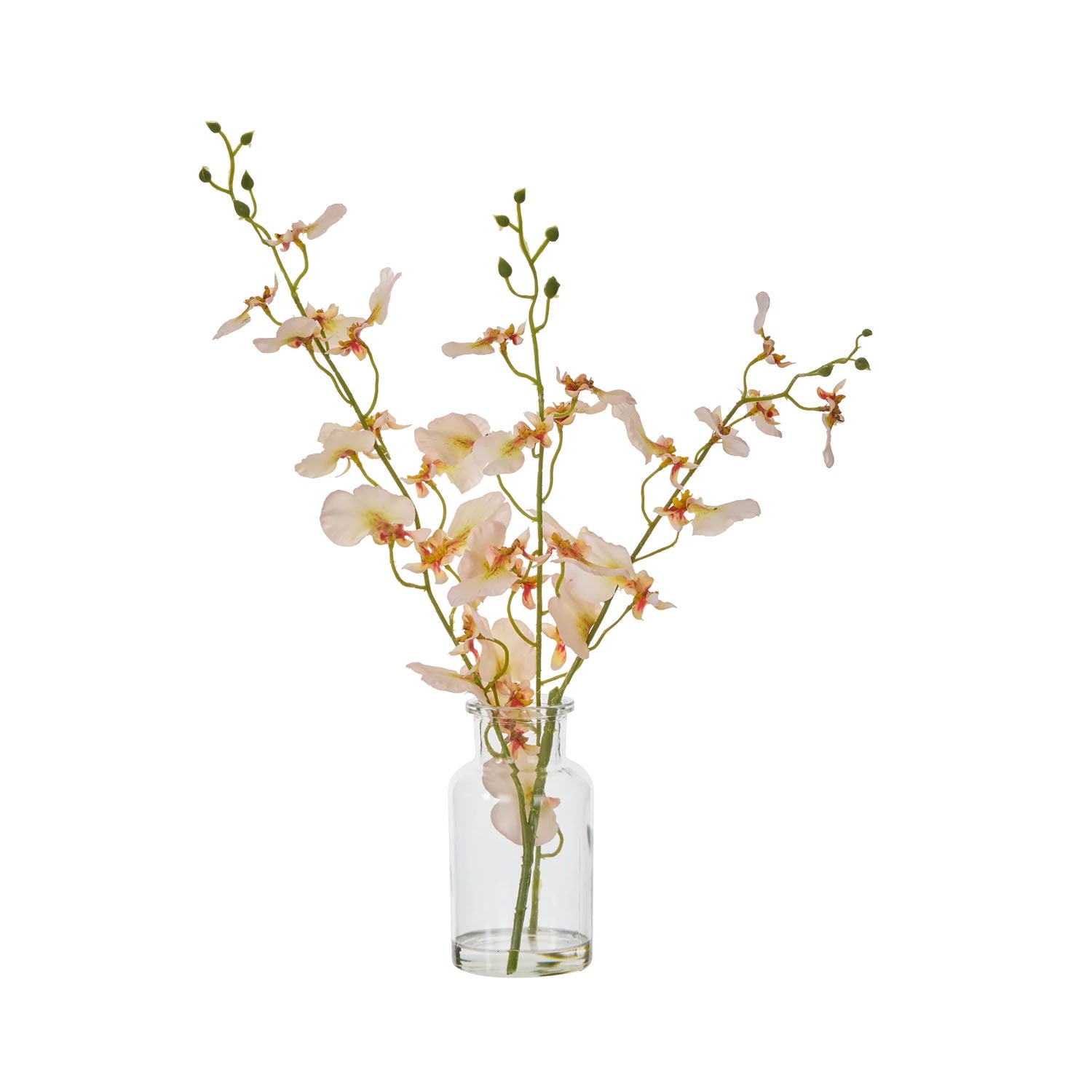 Faux Plant - Dancing Orchid Specimen 36cm Cr-BOM