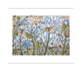 Angie Lewin- Agapanthus II
