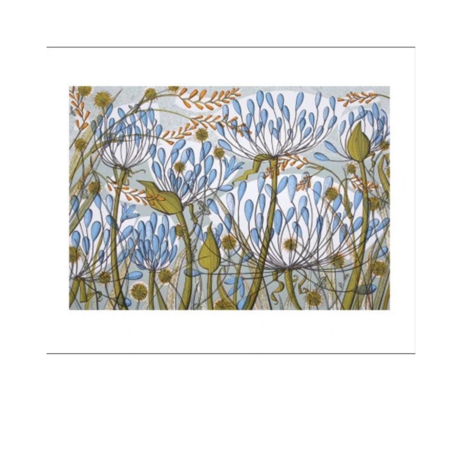 Angie Lewin- Agapanthus II