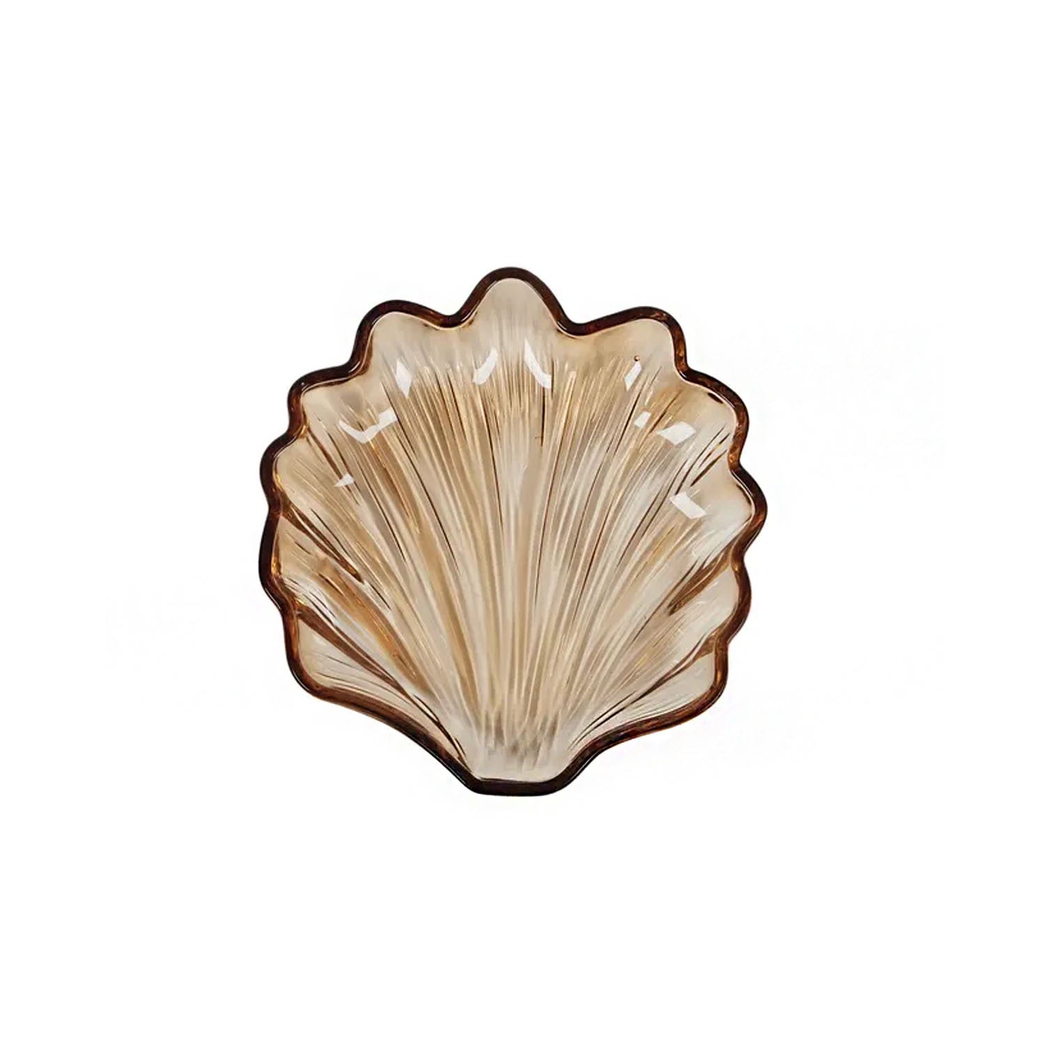 Plate Glass - Fan Shell Amber