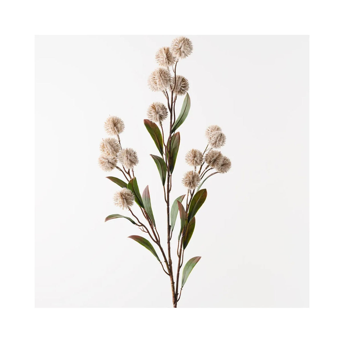 Thistle Spray - Sand