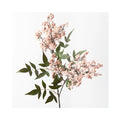 Berry Pepper Spray - Cream Pink