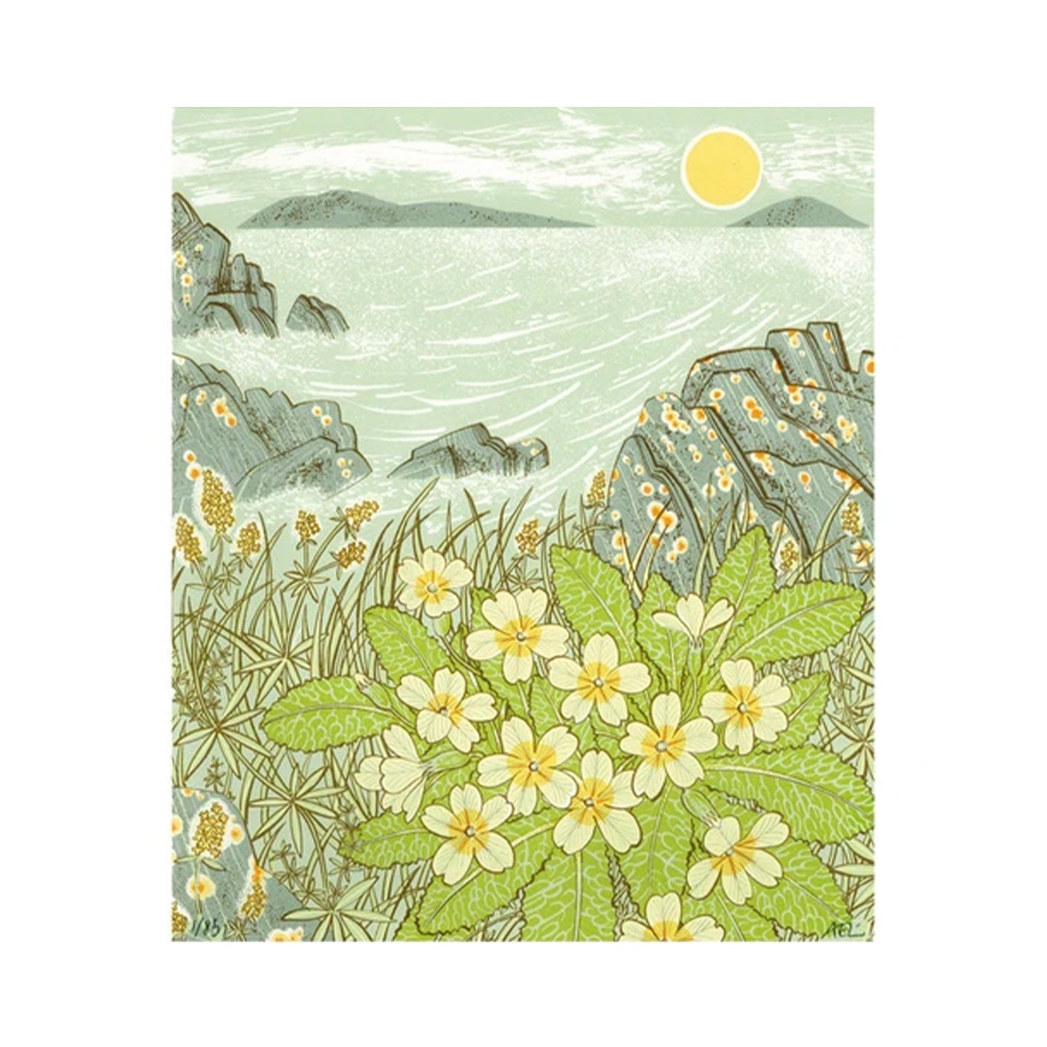 Angie Lewin- Island Primrose