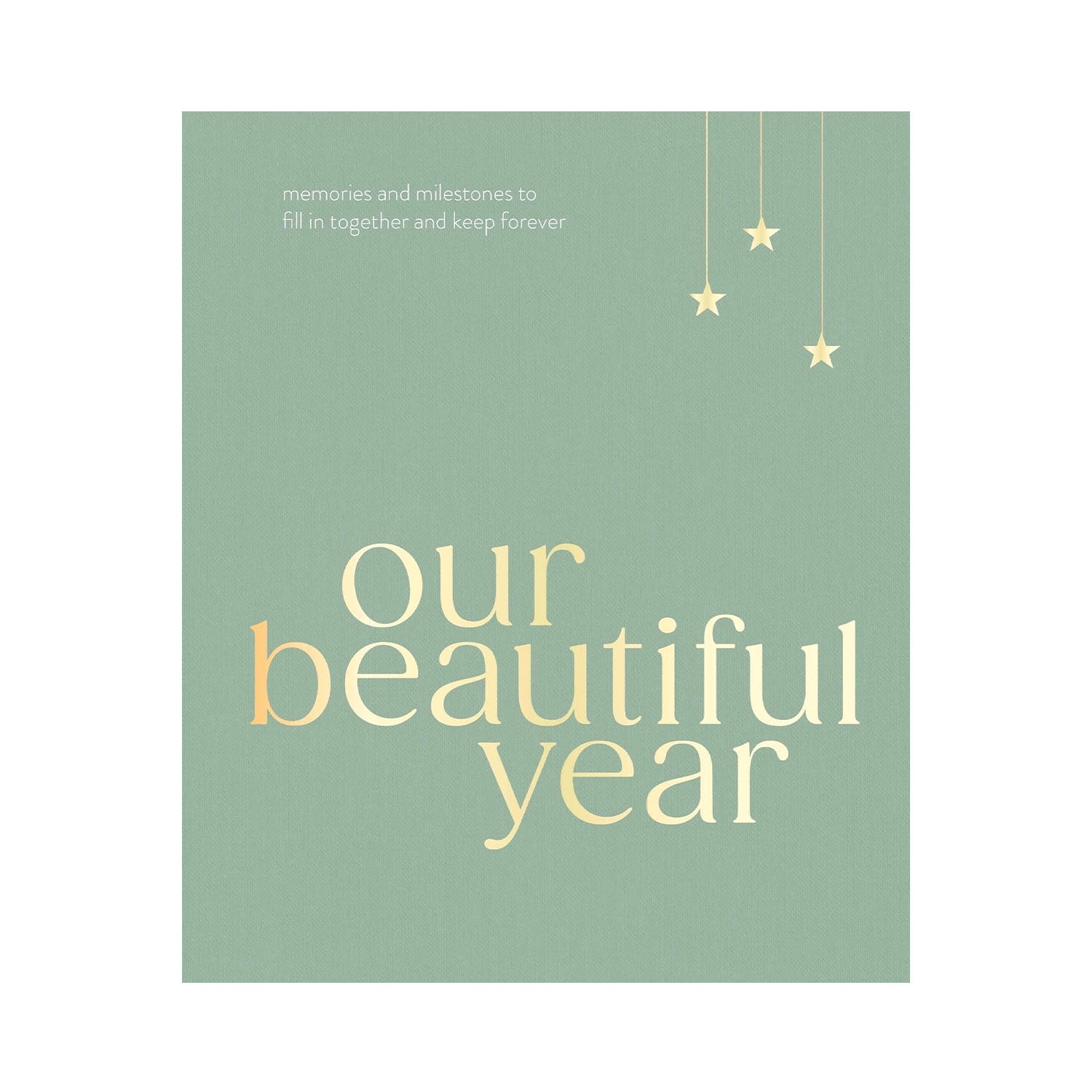 Book - Our Beautiful Year