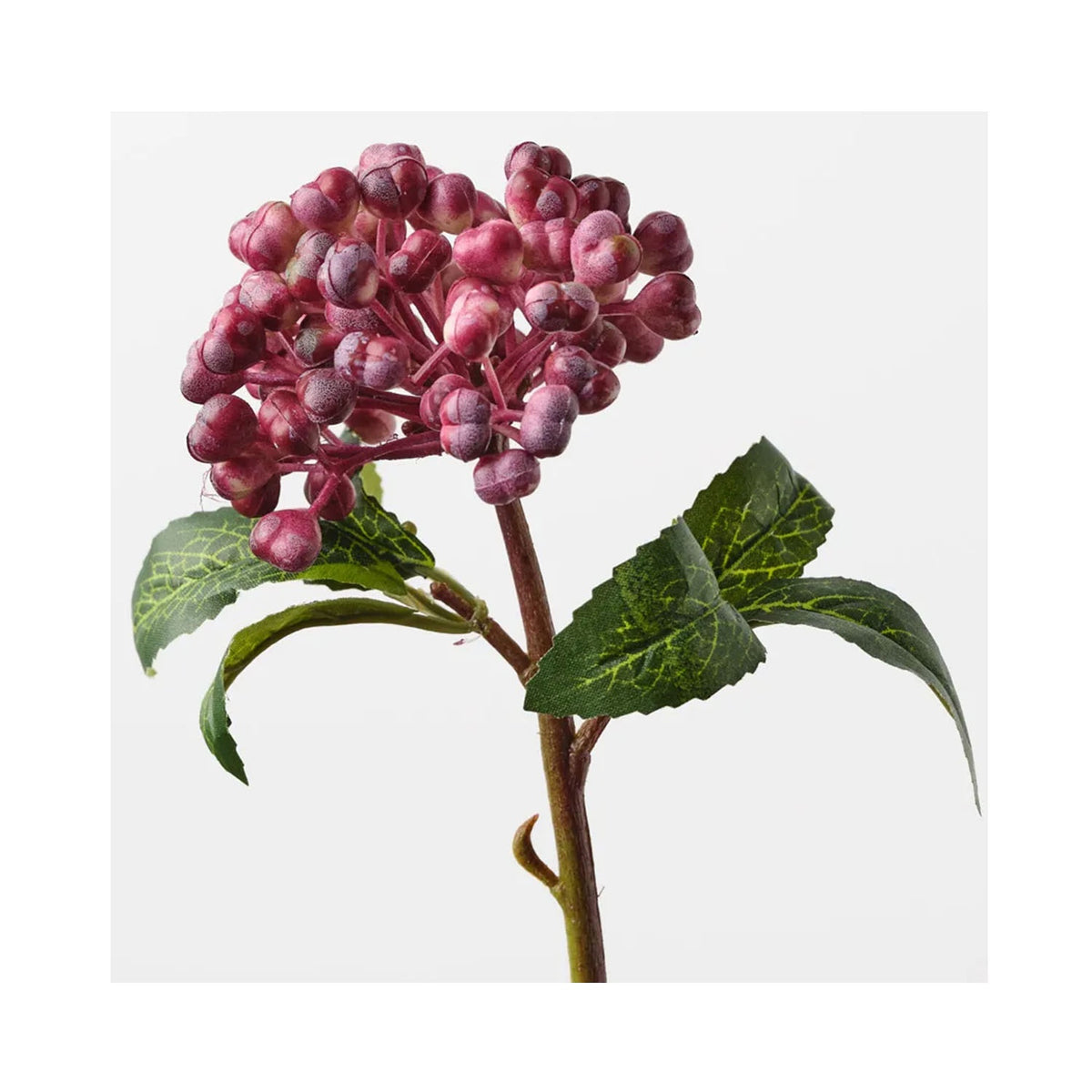 Berry Pick - Burgundy