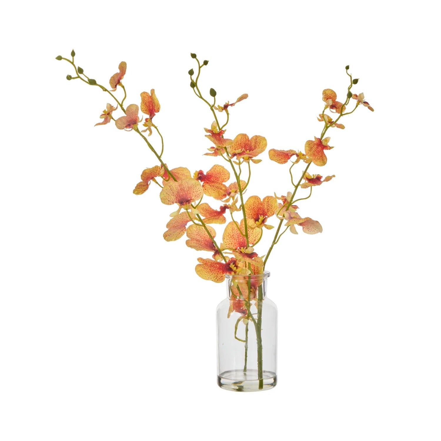 Faux Plant - Dancing Orchid Specimen 36cm Or-BOM