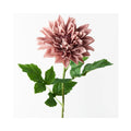 Dahlia - Dusty Pink