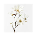 Japanese Magnolia Spray - White