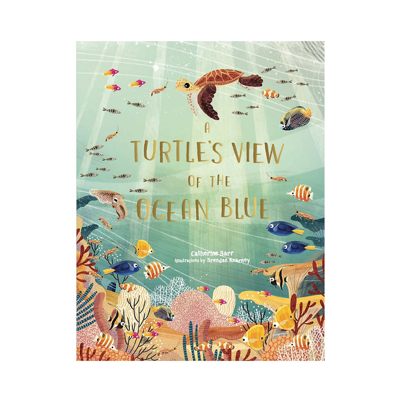 A Turtle's View Of The Ocean Blue