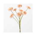 Zinnia Bundle - Peach
