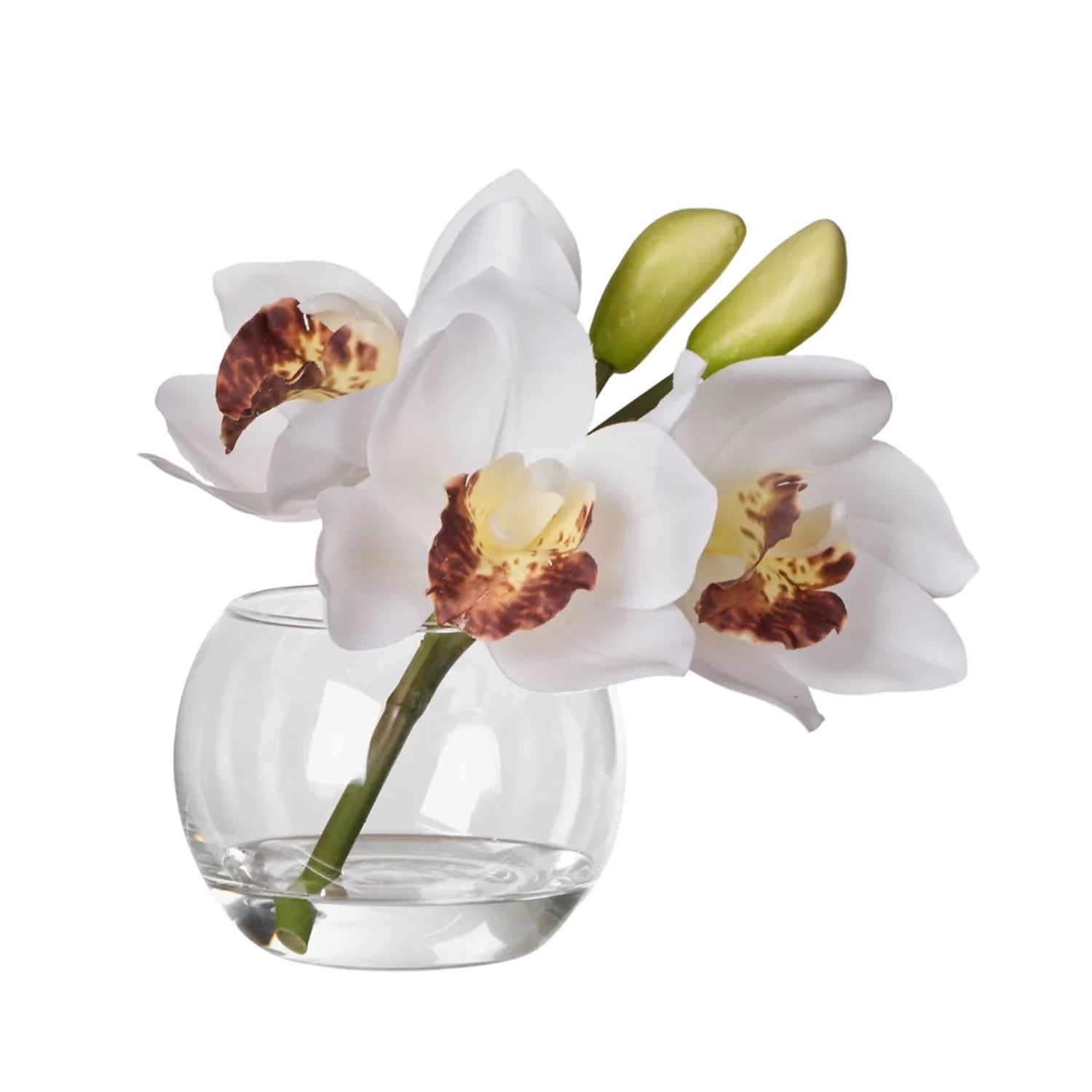 Vase - Cymbidium Glass 20x18x16cm Whi
