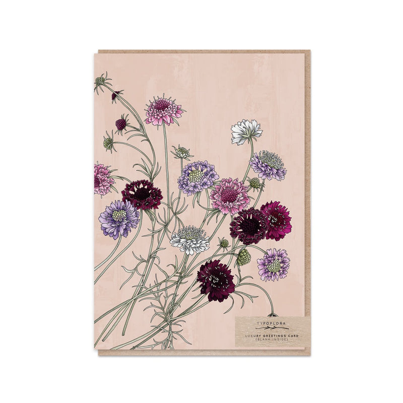 Card Pincushion Flower Portrait