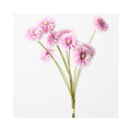 Zinnia Bundle - Lavender
