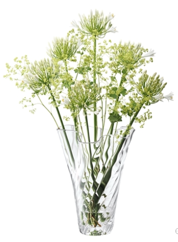 Vase Chiffon  Optic