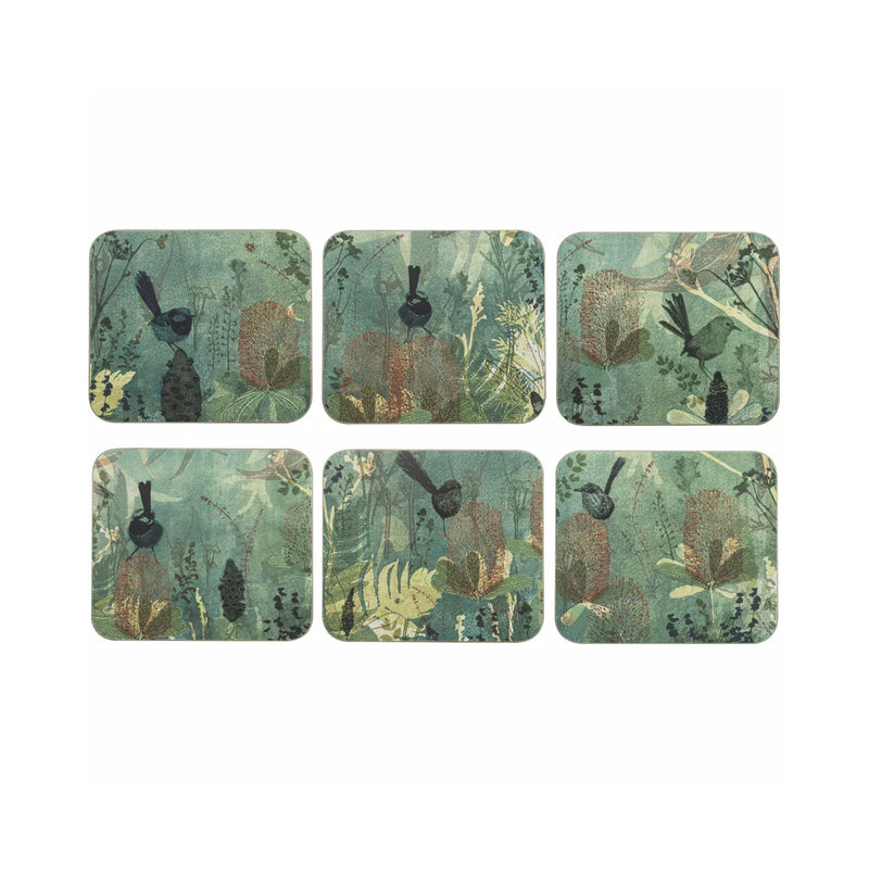 Coaster 6pk Enchanting Banksia