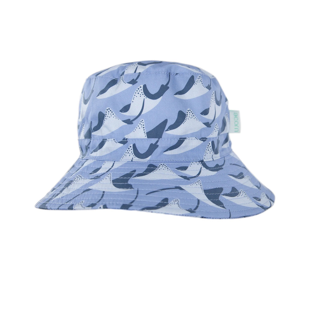 Hat Stingray - Blue