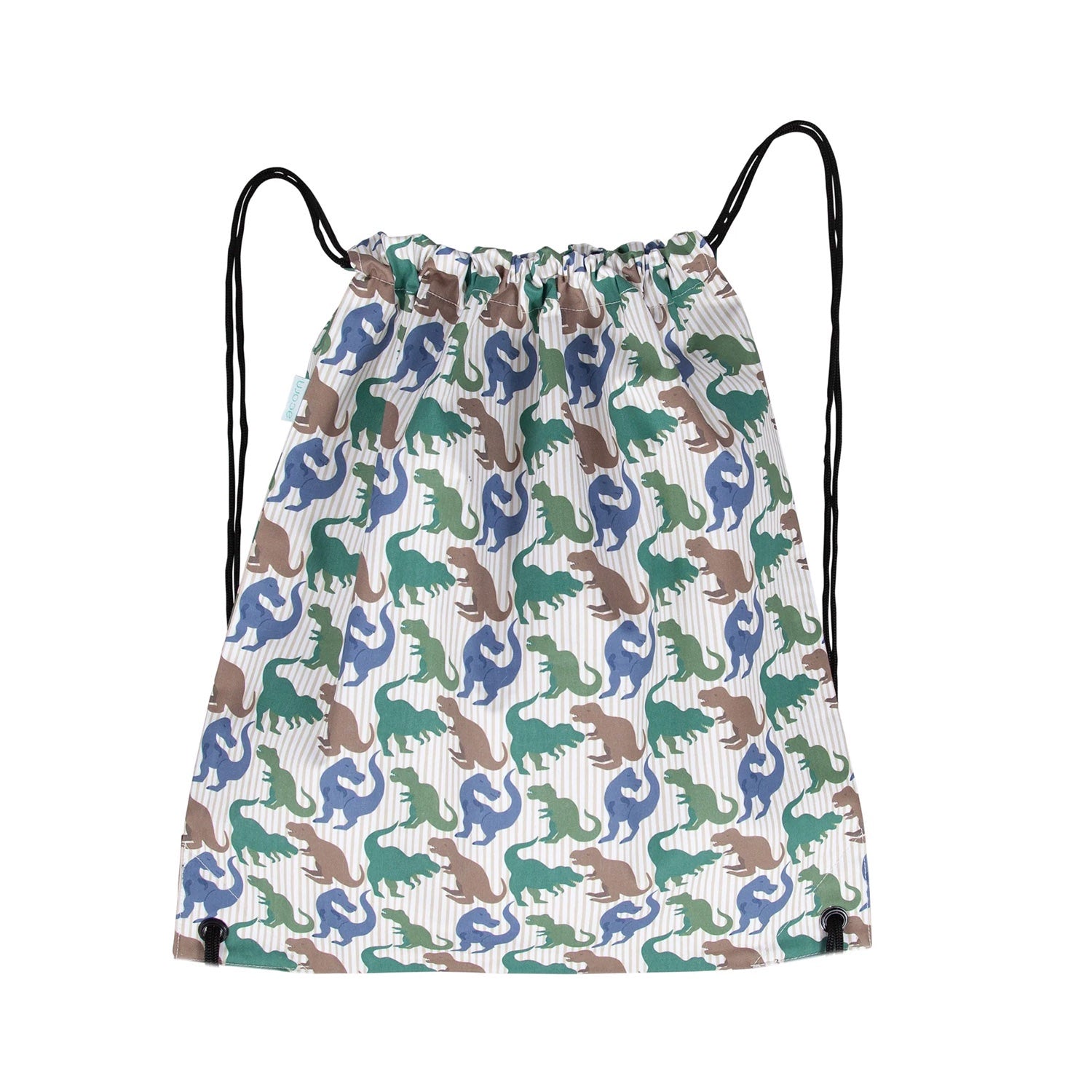 Swim Bag - T-Rex