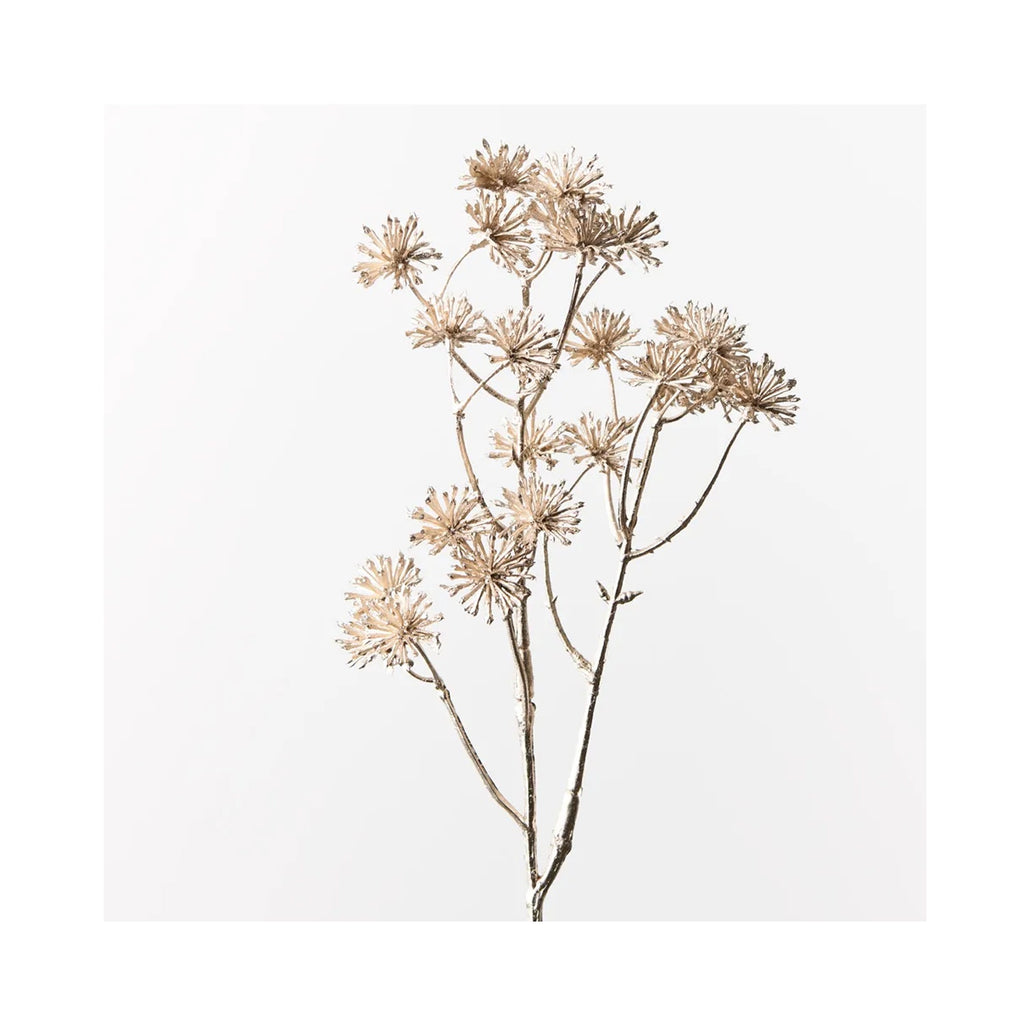 Aralia Metallic Spray - Champagne