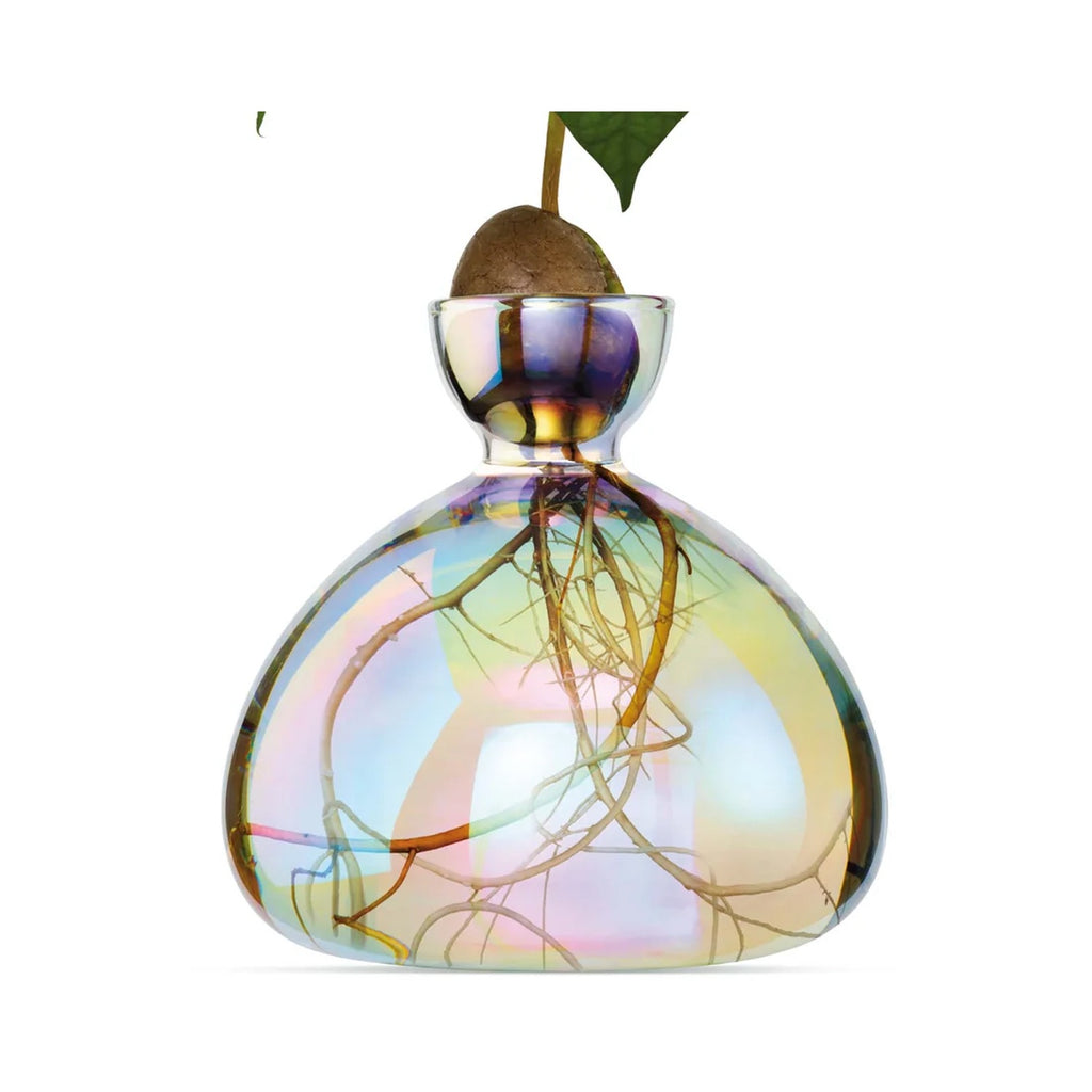 Avocado Vase - Cosmic Astra