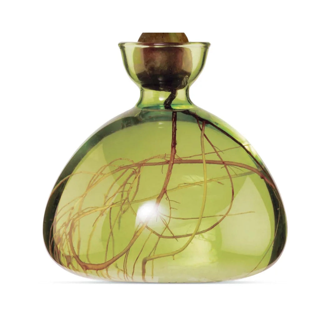 Avocado Vase - Grass Green