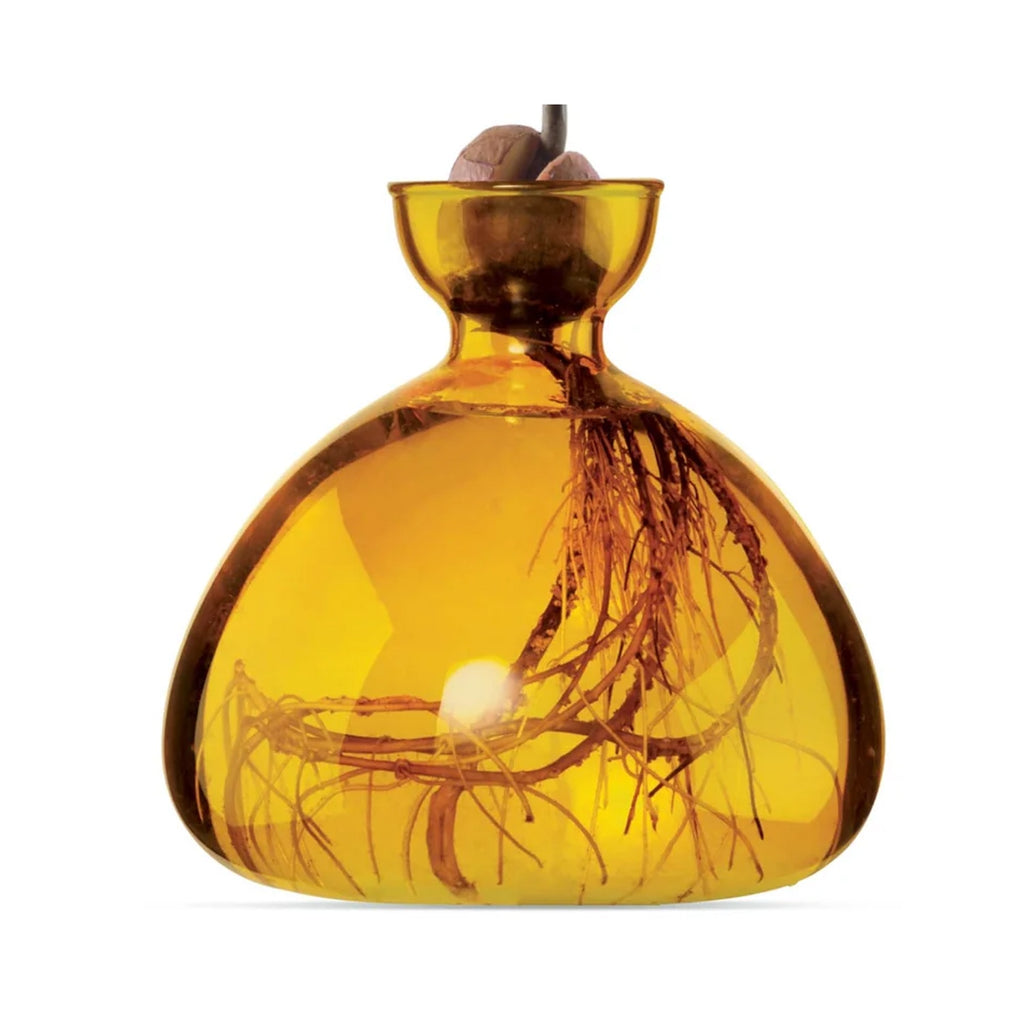 Avocado Vase - Mellow Yellow
